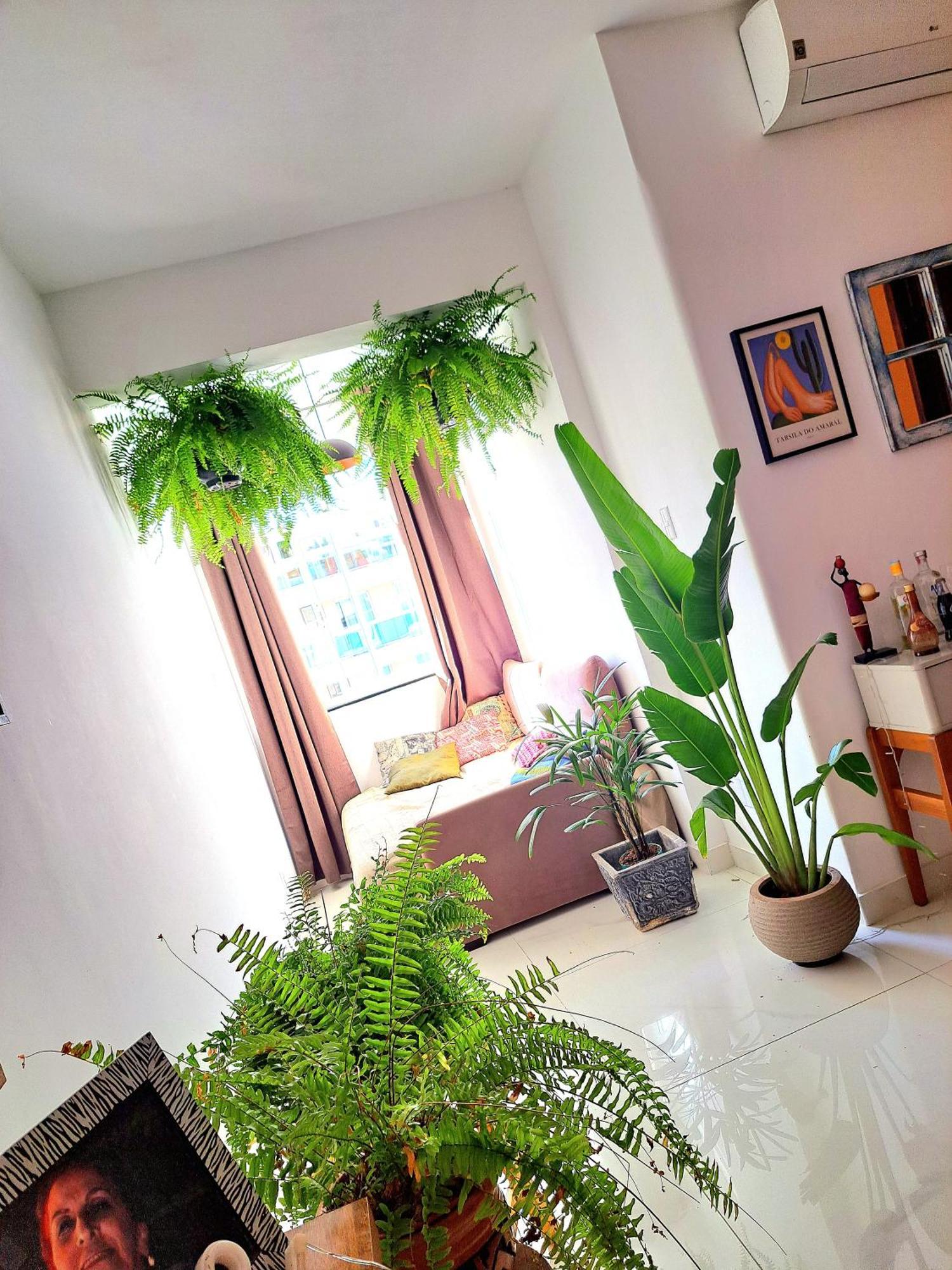 Quarto Com Anfitriao Rj Рио-де-Жанейро Экстерьер фото